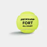 Fort All Court Tennis Balls - 4 Ball Can